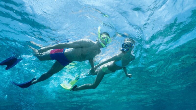 Puerto del Carmen: Snokel tour with an instructor - Marine Life Commonly Seen During the Tour