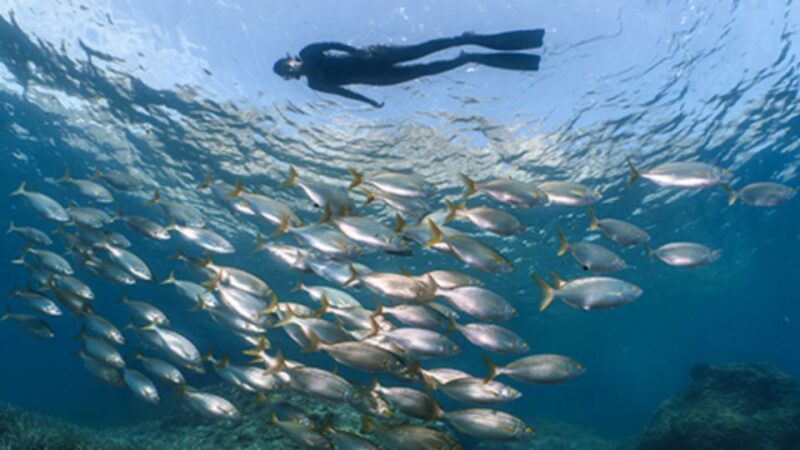 Puerto del Carmen: Snokel tour with an instructor - Booking Flexibility and Cancellation Policy