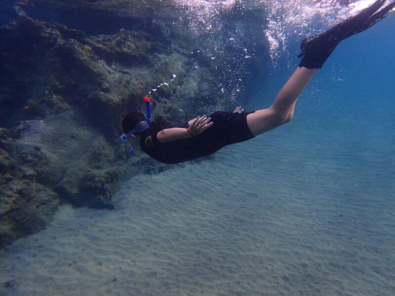 Puerto del Carmen: Snorkeling Trip with Dive Instructor - Explore Lanzarote’s Marine Diversity with a Snorkeling Guide