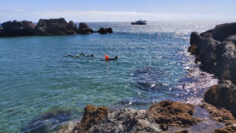 Puerto del Carmen: Snorkeling Trip with Dive Instructor - Safety and Accessibility for All