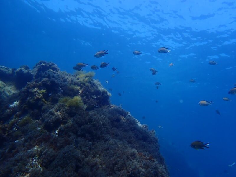 Puerto del Carmen: Snorkeling Trip with Dive Instructor - Flexibility with Booking and Cancellation