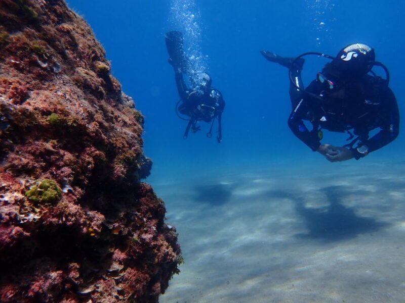 Puerto del Carmen: Try Scuba Diving from the beach - Inclusive Features and What’s Not Included