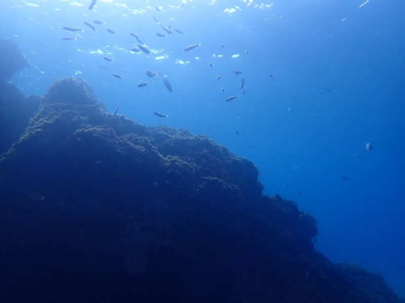 Puerto del Carmen: Try Scuba Diving from the beach - Suitability and Precautions for First-Timers