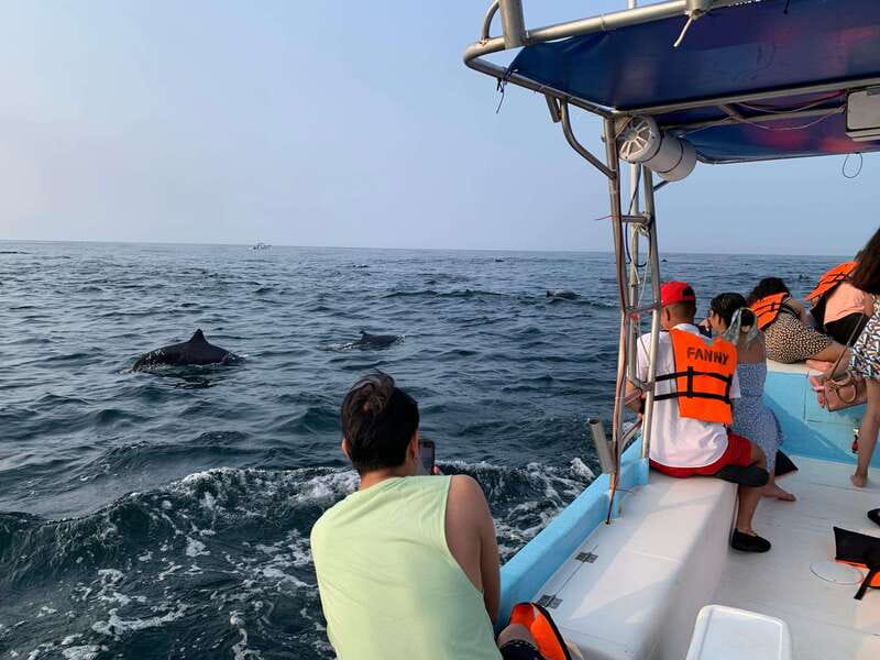 Puerto Escondido: Boat Tour to see Dolphins and Marine Life - The Guide’s Role and Bilingual Support
