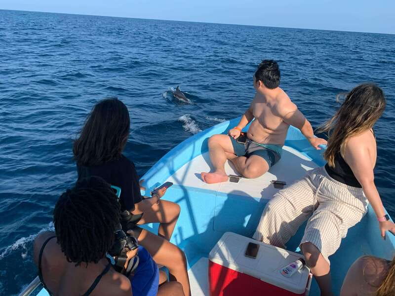 Puerto Escondido: Boat Tour to see Dolphins and Marine Life - Physical Requirements and Safety Tips