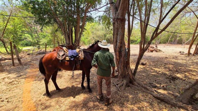 Puerto Escondido: Horseback Ride and Hot Springs Tour - Returning Ride and Reflection in Natural Surroundings