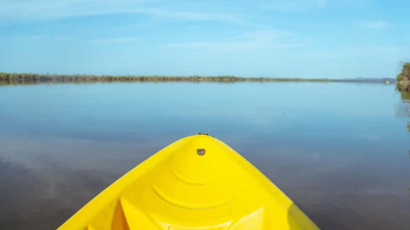 Puerto Escondido: Kayaking on Laguna Manialtepec - Highlights of Bird Watching and Wildlife Observation