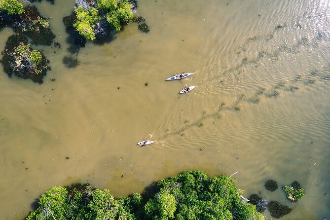 Puerto Escondido: Manialtepec Lagoon by Kayak - Why This Tour Stands Out in Puerto Escondido