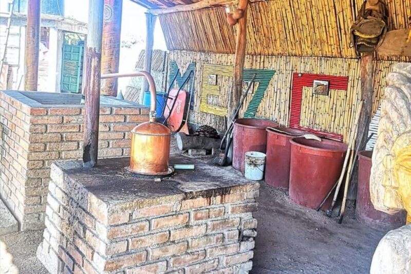 Puerto Escondido: Mezcal, Coffee, and Pedal Loom Factory - Key Points