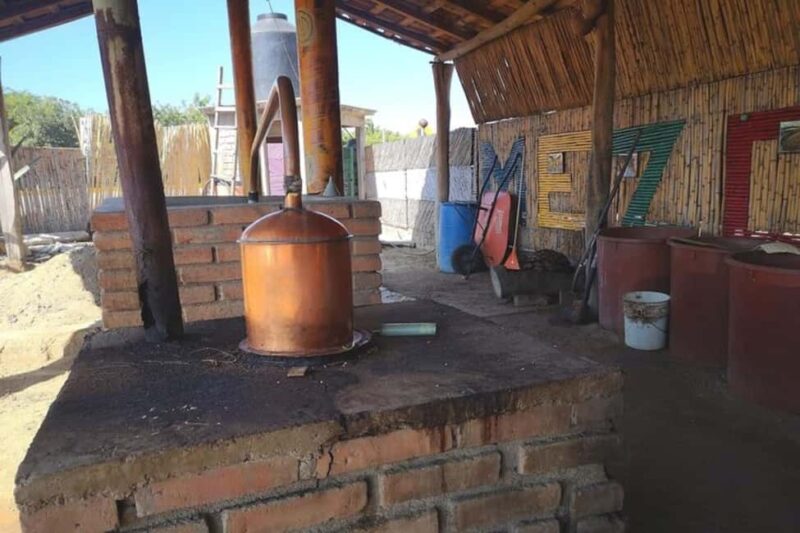 Puerto Escondido: Mezcal, Coffee, and Pedal Loom Factory - Discover the Art of Pedal Loom Weaving