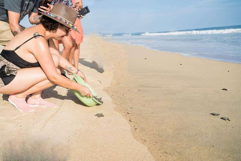 Puerto Escondido: Turtle Release Experience - Visiting the Preserved Beach and Turtle Camp