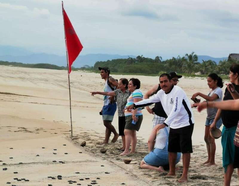 Puerto Escondido: Turtle Release Experience - Sunset Views and Photo Opportunities