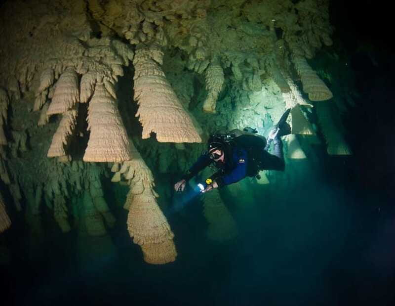 Puerto Morelo: Cenote Diving - Logistics: Transportation, Group Size, and Timing