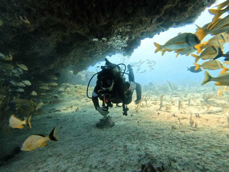 Puerto Morelos: C-56 Shipwreck & Reef for Certified Divers - Who Would Enjoy This Tour Most