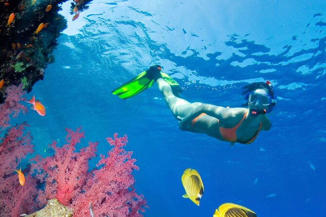 Puerto Morelos Catamaran Reef Sail and Snorkel - Snorkeling at Puerto Morelos National Marine Park