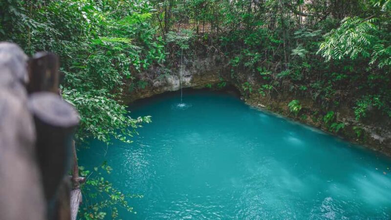 Puerto Morelos: Double adventure in buggy and ATV with zip lines and two cenotes - Zip Line Circuit: Flying Through the Canopy