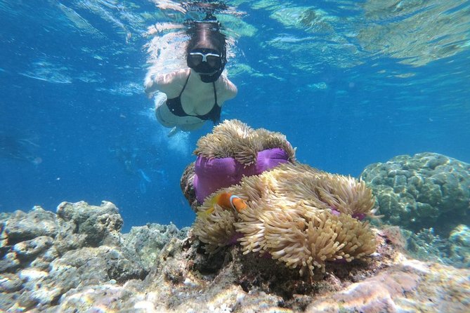Puerto Morelos Half-Day Snorkel Tour - What’s Included in the Tour: Equipment, Admission, and Snacks