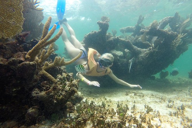 Puerto Morelos Half-Day Snorkel Tour - Timing, Booking, and Cancellation Policy