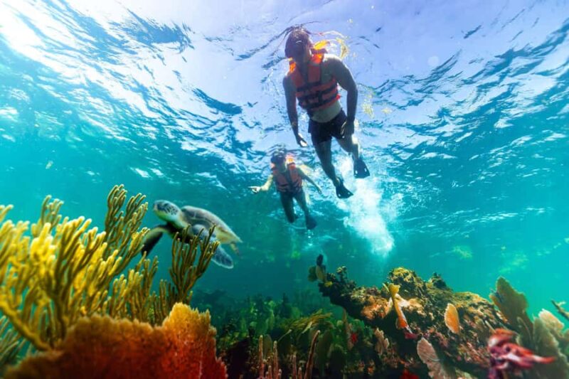 Puerto Morelos: Private Snorkeling Tour with Hotel Pickup - Discover the Exclusive Private Snorkeling Tour in Puerto Morelos