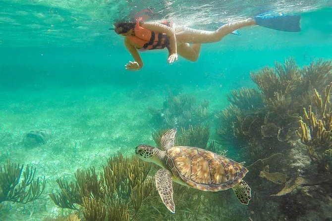 Puerto Morelos Reef Snorkeling Tour with Lunch & Hotel Pickup - Physical Requirements and Accessibility