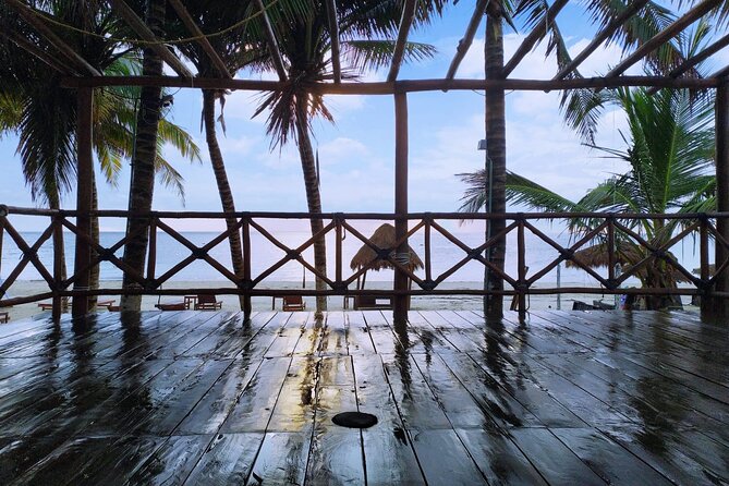 Puerto Morelos Salsa or Bachata Dance lesson from Puerto Morelos - Booking and Cancellation Policies