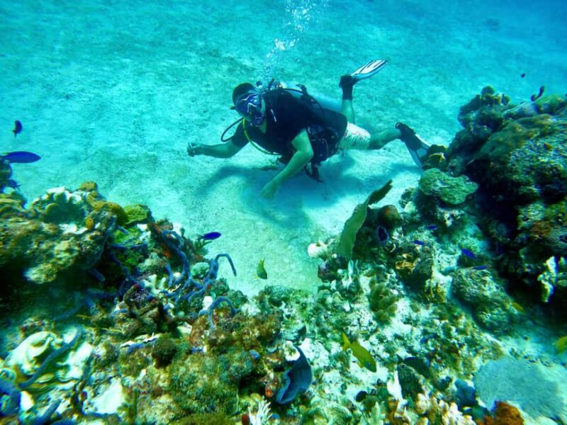 Puerto Morelos: Scuba Experience with Gear & Instructor - Discover Puerto Morelos’ Underwater World on a Guided Scuba Tour for Beginners