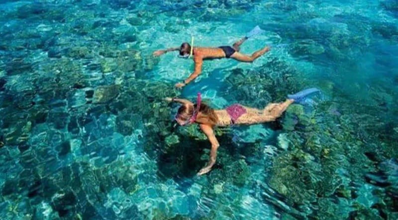 Puerto Morelos: Snorkeling at The National Reef Park - Key Points