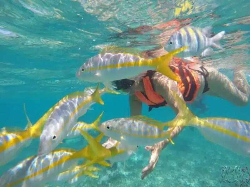 Puerto Morelos: Snorkeling at The National Reef Park - Exploring the Two Snorkeling Spots in Puerto Morelos Reef Park