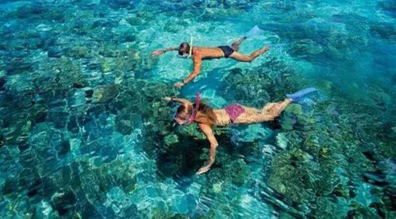 Puerto Morelos: Snorkeling at The National Reef Park - What’s Included in the Snorkeling Package