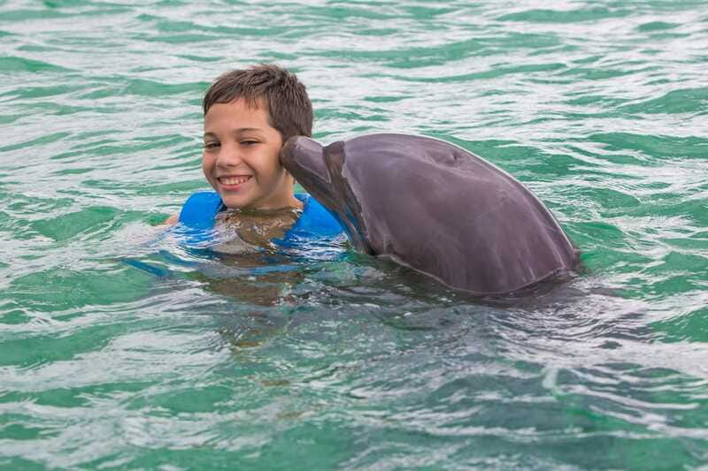 Puerto Morelos: Swim with Dolphins - Physical Requirements and Accessibility