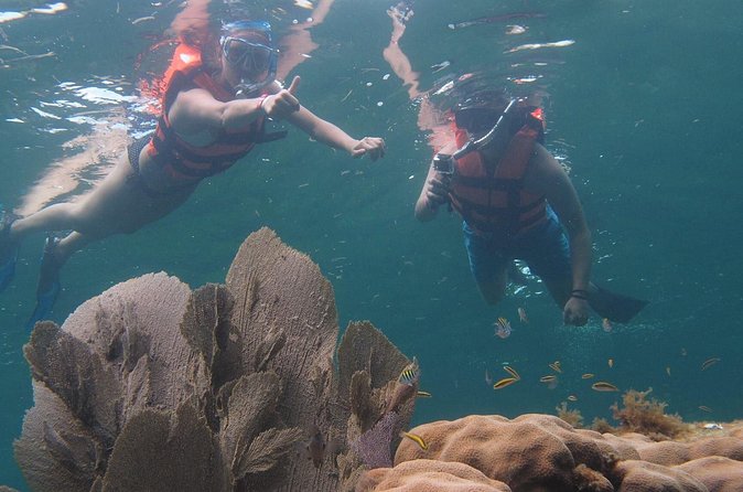 Puerto Morelos Two Reefs Snorkeling Tour - Cost and Additional Fees