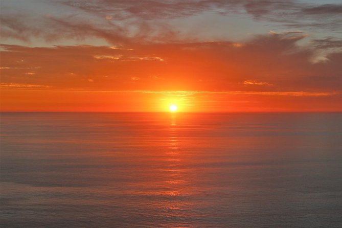 Puerto Nuevo Lobster, Margaritas and Mariachi Private Tour - What Sets This Tour Apart from Others