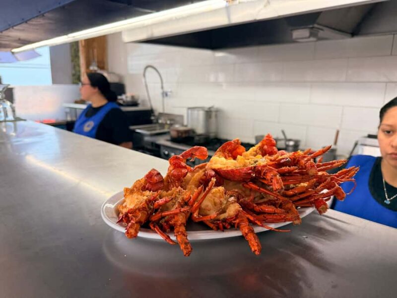 Puerto Nuevo & Valle de Guadalupe Tour with Lunch and Wine - Accessibility and Suitability