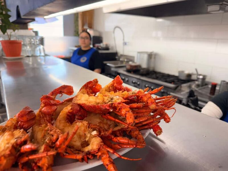 Puerto Nuevo & Valle de Guadalupe Tour with Lunch and Wine - Comparing Similar Baja Experiences