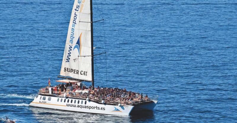 Puerto Rico : 2 hour Dolphin Catamaran Excursion - Discover the 2-Hour Dolphin Catamaran Excursion in Gran Canaria