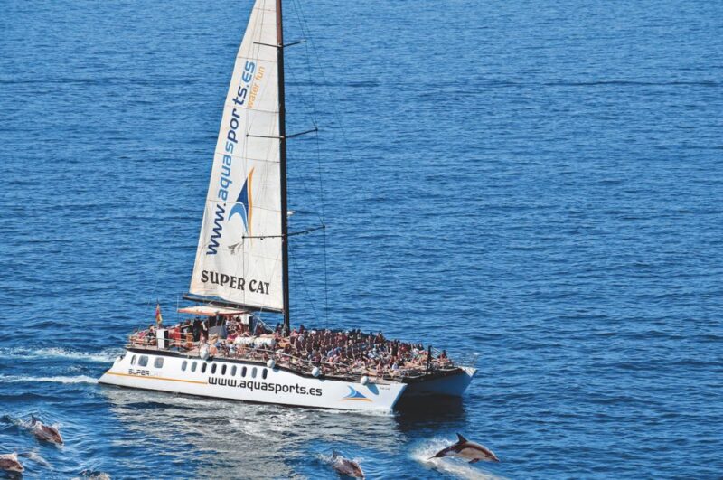 Puerto Rico : 2 hour Dolphin Catamaran Excursion - Marine Wildlife and Sightings Guarantee