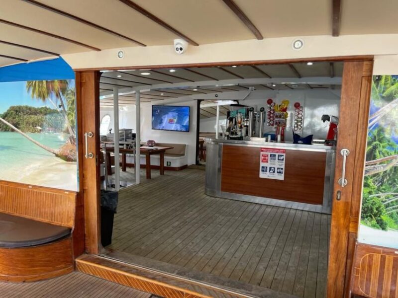 Puerto Rico : 2 hour Dolphin Catamaran Excursion - The Experience Provider: TAURITO WATER SPORT SLU