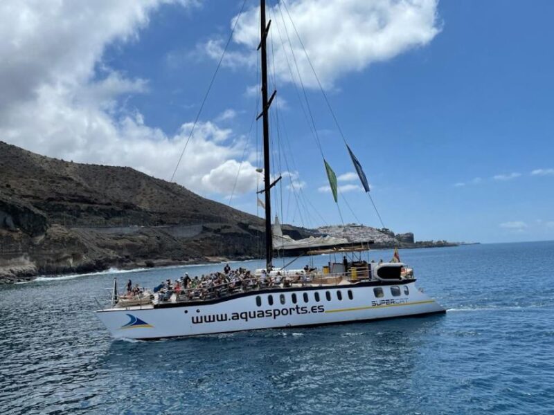 Puerto Rico : 2 hour Dolphin Catamaran Excursion - Who Will Enjoy the Puerto Rico Dolphin Catamaran Tour?