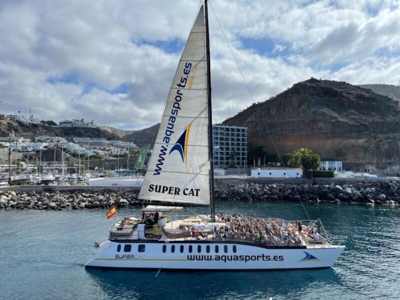 Puerto Rico : 2 hour Dolphin Catamaran Excursion - Final Thoughts on the Dolphin Catamaran Experience in Gran Canaria