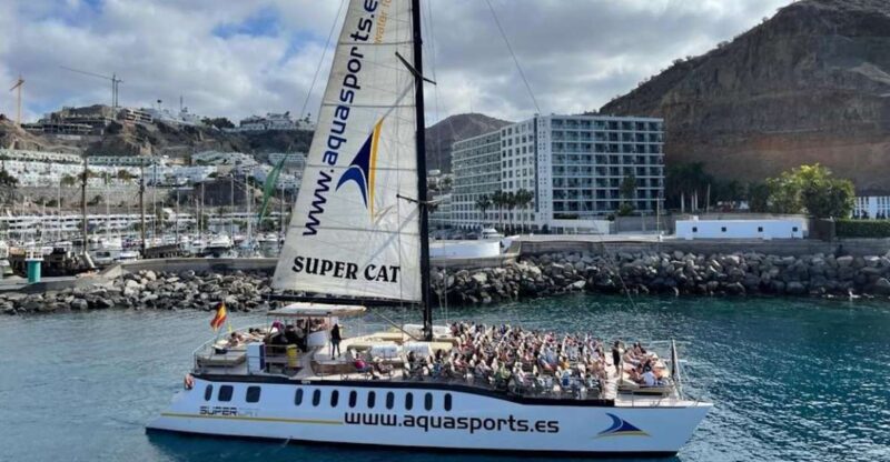 Puerto Rico de Gran Canaria: Premium Dolphin Catamaran Tour - Aboard the Spacious and Comfortable Catamaran