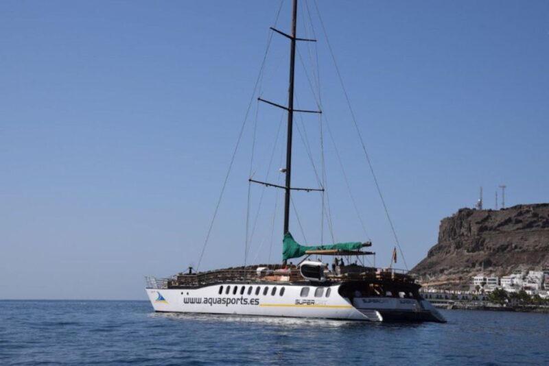 Puerto Rico de Gran Canaria: Premium Dolphin Catamaran Tour - Scenic Coastal Views and Sea Cave Exploration