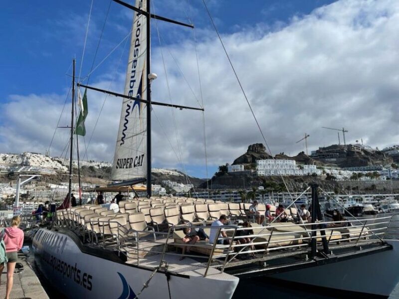 Puerto Rico de Gran Canaria: Premium Dolphin Catamaran Tour - Practicalities and Safety Tips