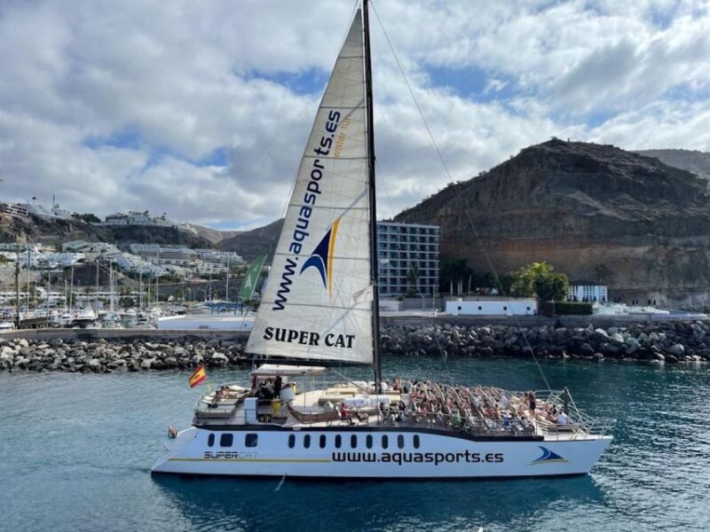 Puerto Rico de Gran Canaria: Premium Dolphin Catamaran Tour - A Review of the Experience: What You Can Expect