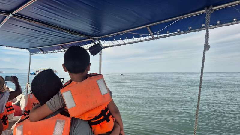 Puerto Vallarta: 3-Hour Whale Watching and Snorkeling - Snorkeling Spots and Underwater Highlights