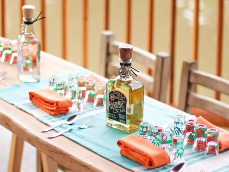 Puerto Vallarta: Agave Spirits Tasting and Food Pairing - Explore the Flavors of Mexico with a Focused Agave Spirits Tasting