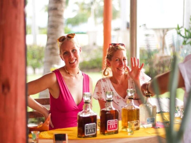 Puerto Vallarta: Agave Spirits Tasting and Food Pairing - Key Points