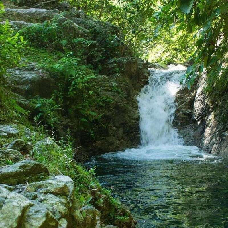 Puerto Vallarta: ATV Rio Cuale - Discovering the Sierra Madres Tropical Forests and Mountain Views