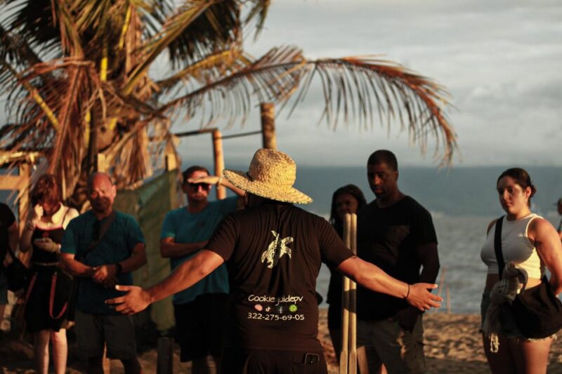 Puerto Vallarta: Baby Turtle Release in Conservation Area - Meeting Point and Logistics at Paseo Bocanegra