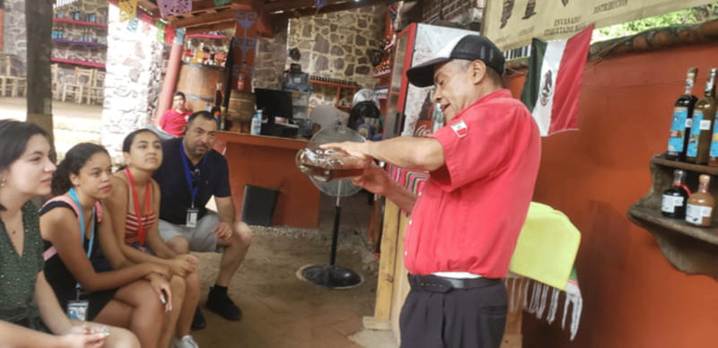 Puerto Vallarta: Bar Crawl Experience - Key Points