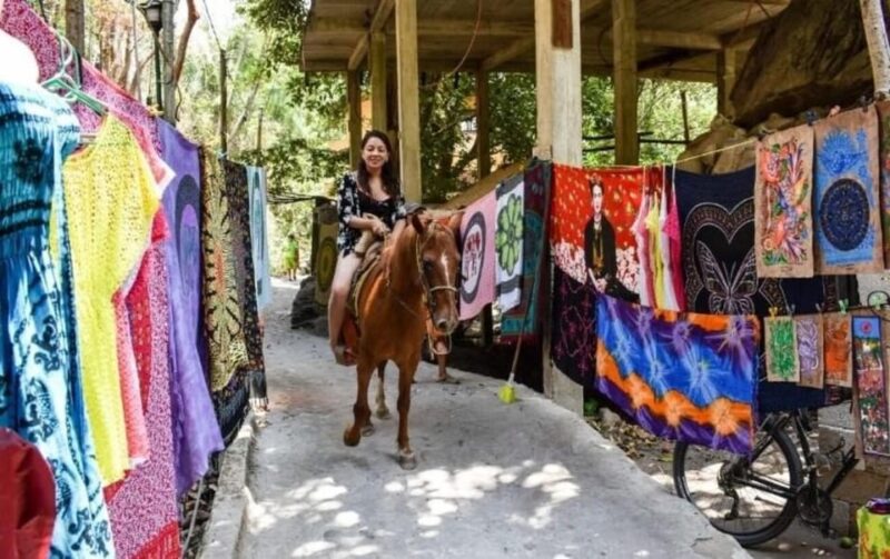 Puerto Vallarta: Beach Boy Los Arcos, Animas and Quimixto - Practical Details: Booking, Cancellation, and Accessibility